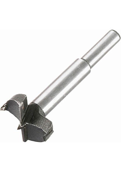 19MM 1 Adet 15-100MM Ahşap Matkap Ucu Kendini Merkezleme Delik Testere Kesici Ahşap Delik Delme Araçları Ağaç Işleme Delik Açıcı Forstner Matkap Uçları (Yurt Dışından)