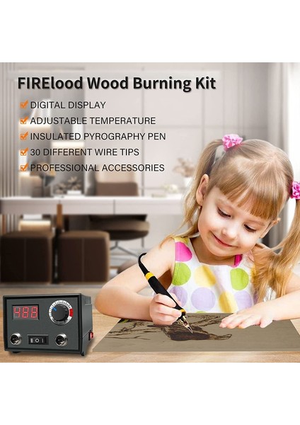 LH40-S2-BAG 60 W, Cn Pyrography Ahşap Yakma Kiti Profesyonel Ahşap Yakıcı Aracı Çift Kalem Çanta ile 30 Ipuçları (Yurt Dışından)