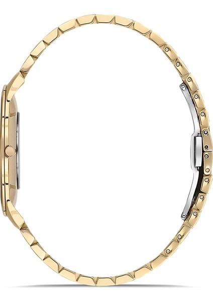 CL135G-08SG Erkek Kol Saati fiyatları