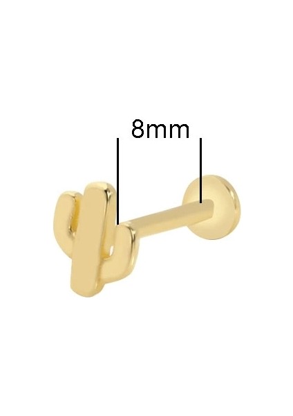 14 Ayar Kaktüs Altın Tragus Küpe