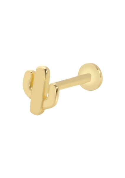 14 Ayar Kaktüs Altın Tragus Küpe