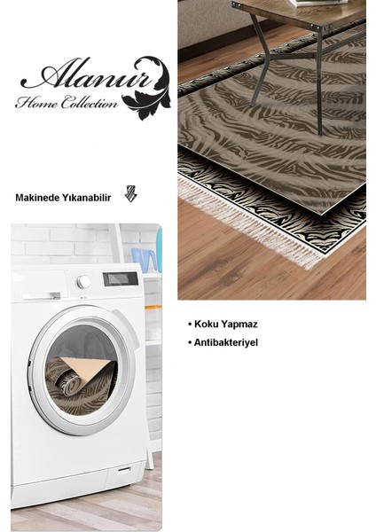 Dijital Salon Halısı Yıldız Deri Kaymaz Taban Saçaklı Modern Patti Kahve modelleri