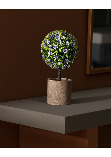 Dorine Saksılı Çiçek