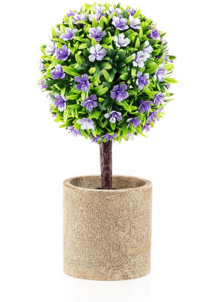 Dorine Saksılı Çiçek fiyatları