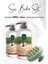 Hindistan Cevizi Sütlü Şampuan 600 ml x 2 Adet ve Masaj Şampuan Fırçası Yeşil 1