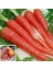 Kırmızı Havuç Tohumu Atomic Red Carrot Atalık 1