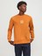 Jprblaleo Sweat Crew Neck Erkek Sweatshirt 3