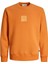 Jprblaleo Sweat Crew Neck Erkek Sweatshirt 5