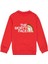 Kırmızı Morty Face Baskılı Oversize Erkek Bisiklet Yaka Sweatshirt 1