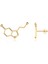 Serotonin Mutluluk Hormonu Altın Kaplama Gümüş Küpe 1