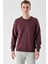 Slim Fit Bisiklet Yaka Düz Renk 2 İplik Erkek Sweatshirt 1