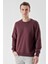 Slim Fit Bisiklet Yaka Düz Renk 2 İplik Erkek Sweatshirt 4