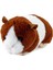 520325 Peluş Ginepig 25 Cm 1