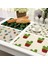 N 1 Adet Kaktüs Desen Placemat Yemek Masası Mat Pamuk Keten Içecek Coaster Kase Fincan Paspaslar Mutfak Pedleri 42*32 cm Ev Dekor MP0018 (Yurt Dışından) 4