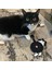 G Kedi Butt Coaster Çay Kahve Fincanı Coaster Placemats Dayanıklı Isıya Dayanıklı Bardak Kase Pedi Masa Mat Ev Dekorasyon Posavasos (Yurt Dışından) 4