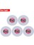 Kırmızı Işık 2 Adet 5/1 Adet Aydınlık Şişe Çıkartmaları Işıkları 6cm LED Coaster Lambaları Xmas Bar Ktv Düğün Parti Kokteyl Içecek Bardakları Vazo Dekor (Yurt Dışından) 1