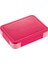 1pc-Pembe Çocuk ve Öğrenci Öğle Yemeği Kutuları Bölmelerde Mühürlü Meyve Kutuları Salata Kutuları Çalışma Mikrodalga Isıtma Bento Kutuları (Yurt Dışından) 1