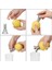 1 Adet El Sıkacağı Suyu Sıkmak Limon Dökücü Vida Elle Portakal Limon Narenciye Meyve Aracı Paslanmaz Çelik (Yurt Dışından) 3