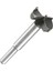 19MM 1 Adet 15-100MM Ahşap Matkap Ucu Kendini Merkezleme Delik Testere Kesici Ahşap Delik Delme Araçları Ağaç Işleme Delik Açıcı Forstner Matkap Uçları (Yurt Dışından) 2