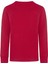 Çocuk Kırmızı Bisiklet Yaka Baskılı Sweatshirt 95C591-R78 Jdb Practıce Flıght Ls T 2