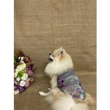 Maria Pet Fashion Köpek & Kedi Kıyafeti & Atlet & Tulum & Eşofman