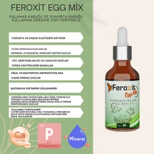 Feroxit Egg Mix Kuş Vitamini (ÜREME KANALLARINI ÇALIŞTIRIR Yumurta sayısını Artırır TÜM KANATLI TÜRLERİ İÇİN KULLANILIR) 50 ml