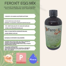 Feroxit 150 ml Egg Mix (Kalamar ve Yumurta Kabuğu Kullanma Derdine Son Veriyoruz)