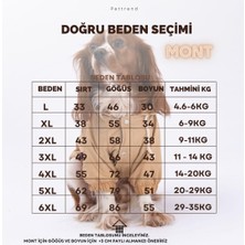 Petrol Mont  Köpek Mont Köpek Kıyafeti Köpek Yağmurluğu(Küçük-Büyük Irklar)