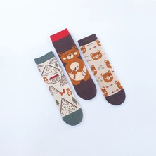 Mem Socks 3'lü Ayı Desenli Kaydırmaz Havlu Çocuk Çorabı