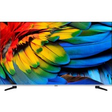 Regal 55R66QA11 55" 139 Ekran Dahili Uydu Alıcılı 4K Ultra HD Smart LED TV