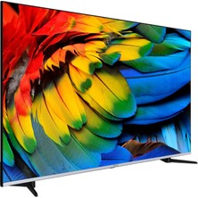 Regal 55R66QA11 55" 139 Ekran Dahili Uydu Alıcılı 4K Ultra HD Smart LED TV