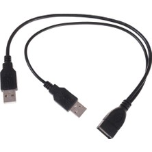 Attract USB 2.0 A Dişi - Çift USB Ayırıcı Hub Güç USB Adaptörü (Yurt Dışından)