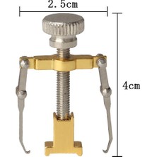 Danlu Gümüş 1 Adet Doğrultma Klip Batık Ayak Tırnağı Düzeltici Pedikür Ayak Tırnak Bakımı Araçları Paslanmaz Çelik Pedikür Tedavisi Düzeltme (Yurt Dışından)