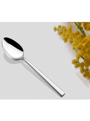 Biodata 12 Parça Çay Kaşığ  Içme Karıştırma Espresso Kahve Kaşığı Için Paslanmaz Çelik 11CM Çay Kaşığı