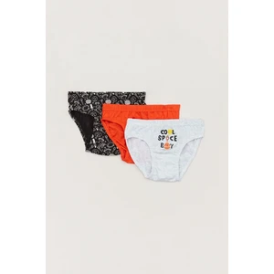 Baskılı 3 Lü Erkek Çocuk Slip Külot