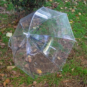 Şemsiye Şeffaf Şemsiye Baston Şemsiye