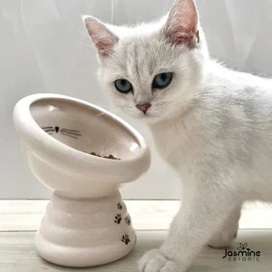 Yükseltilmiş Seramik Kedi Mama Kabı, Beyaz, Yüksek, Pati, Kedi, Özel, Yeni, Desenli