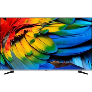 55R66QA11 55" 139 Ekran Dahili Uydu Alıcılı 4K Ultra HD Smart LED TV