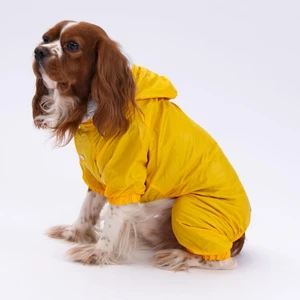 Sarı Kürklü Tulum Yağmurluk Küçük Irk Yağmurluk  Köpek Kıyafeti  Köpek Yağmurluğu