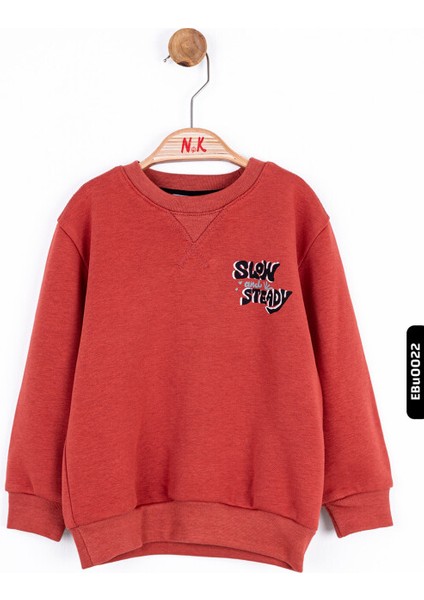 Erkek Bebek Sweatshirt 45624