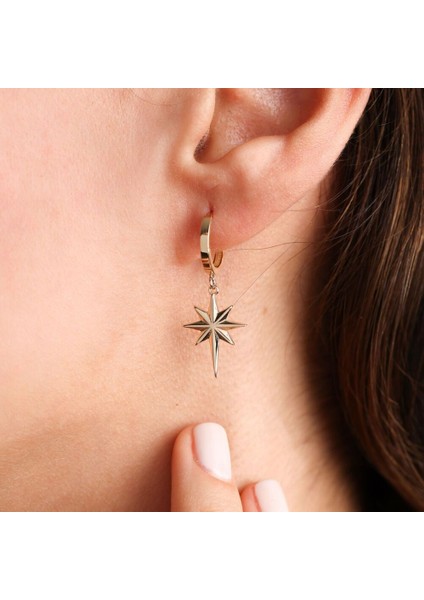 Altın Küpe Kutup Yıldız fiyatları