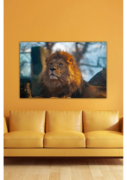 Dijital Baskılı Hayvan Motifli Aslan Temalı Modern Kanvas Tablo AR030414