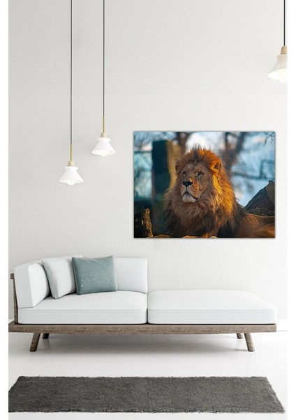 Dijital Baskılı Hayvan Motifli Aslan Temalı Modern Kanvas Tablo AR030414 fiyatları