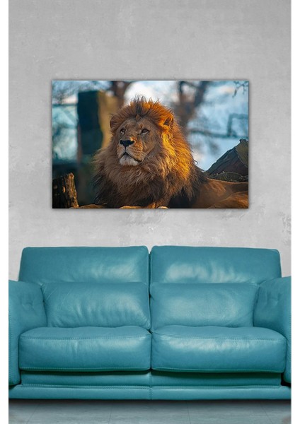 Dijital Baskılı Hayvan Motifli Aslan Temalı Modern Kanvas Tablo AR030414 fırsatları