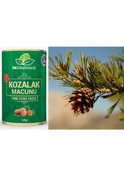 Dr. Natural Çam Kozalağı Macun Kozalak Macunu 240 Gr. ( 2 Adet )