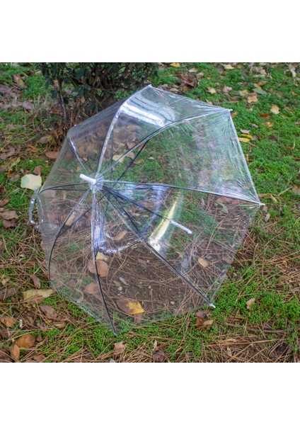 Şemsiye Şeffaf Şemsiye Baston Şemsiye