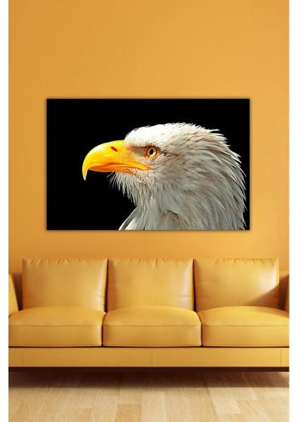 Dijital Baskılı Salon Oturma Odası Mutfak Kartal Desenli Ahşap Kanvas Tablo AR030416 fiyatları