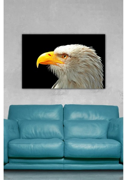 Dijital Baskılı Salon Oturma Odası Mutfak Kartal Desenli Ahşap Kanvas Tablo AR030416 modelleri