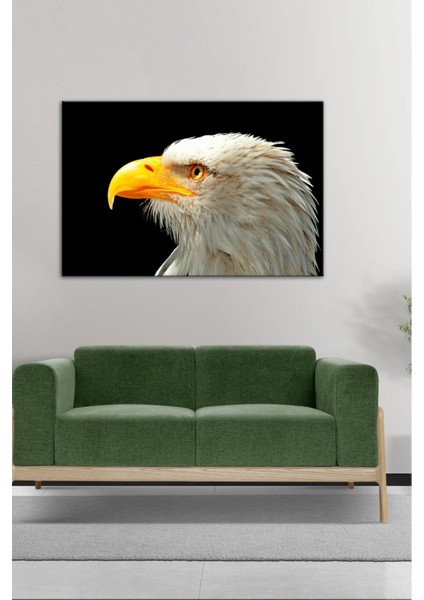 Dijital Baskılı Salon Oturma Odası Mutfak Kartal Desenli Ahşap Kanvas Tablo AR030416 fırsatları