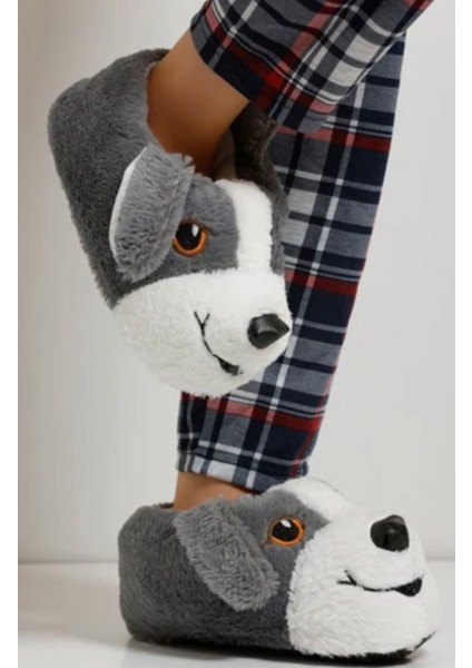 Ev Panduf fırsatları